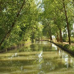 El Canal de Castilla