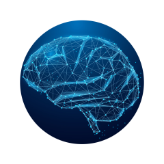 Secretos del cerebro