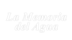 La memoria del agua
