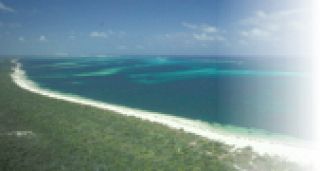 El arrecife de coral