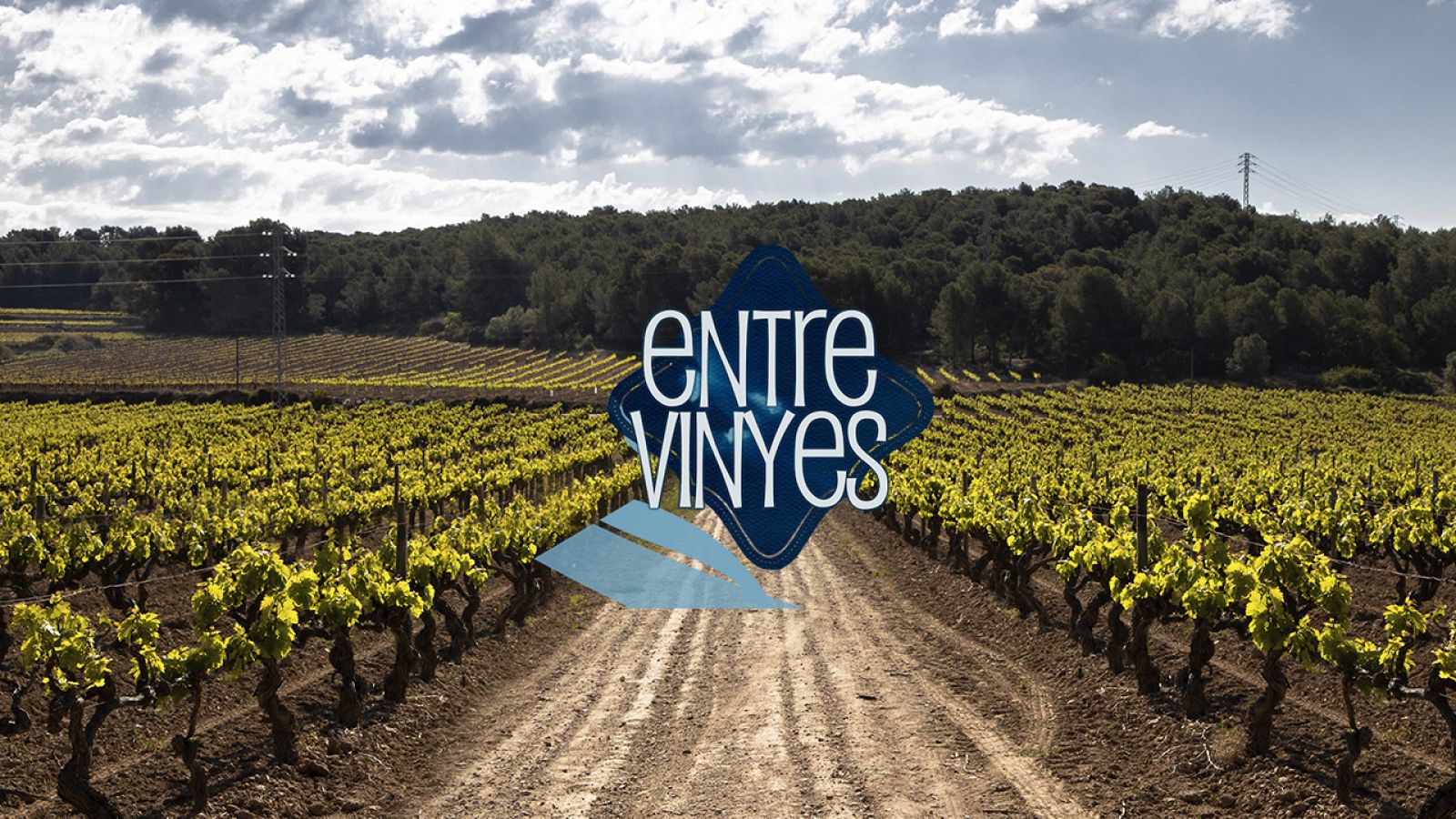 Entre Vinyes - La Verema