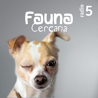 Fauna cercana