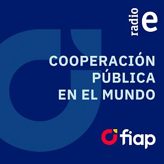 'Cooperación pública en el mundo (FIIAPP)' con 