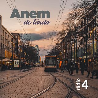 Anem de tarda