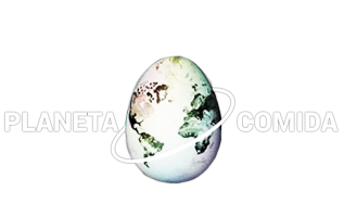 Planeta Comida