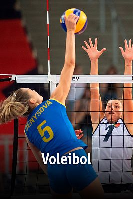 Voleibol