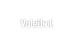 Voleibol