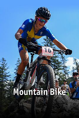 Mountain Bike