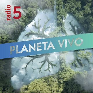 'Planeta vivo' con 