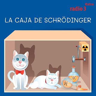 Ru montón triunfante La caja de Schrödinger - Música y ciencia en RTVE Play