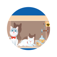 La caja de Schrödinger