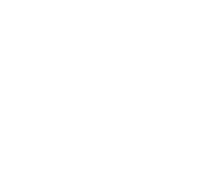 La vida en el aire