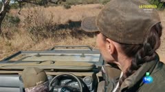 Emisión en directo de TVEi Internacional de RTVE