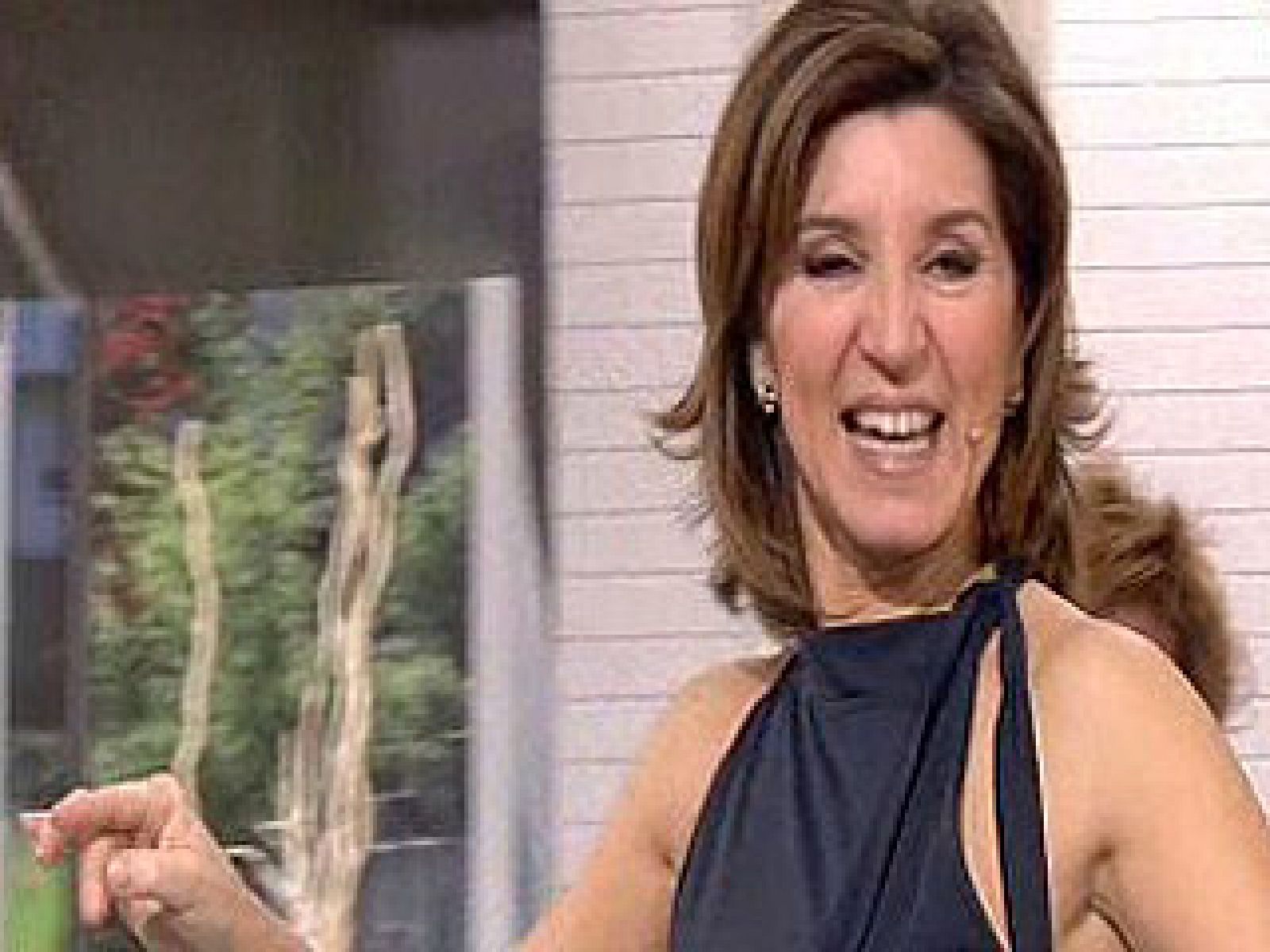 Saber bailar - Mix de ritmos