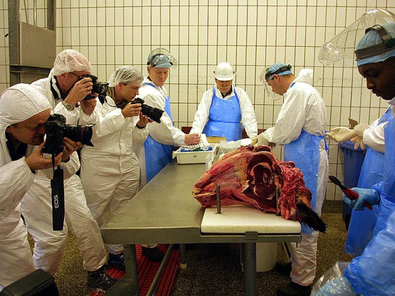 Informe Semanal 02/12/2000 Crisis de las vacas locas