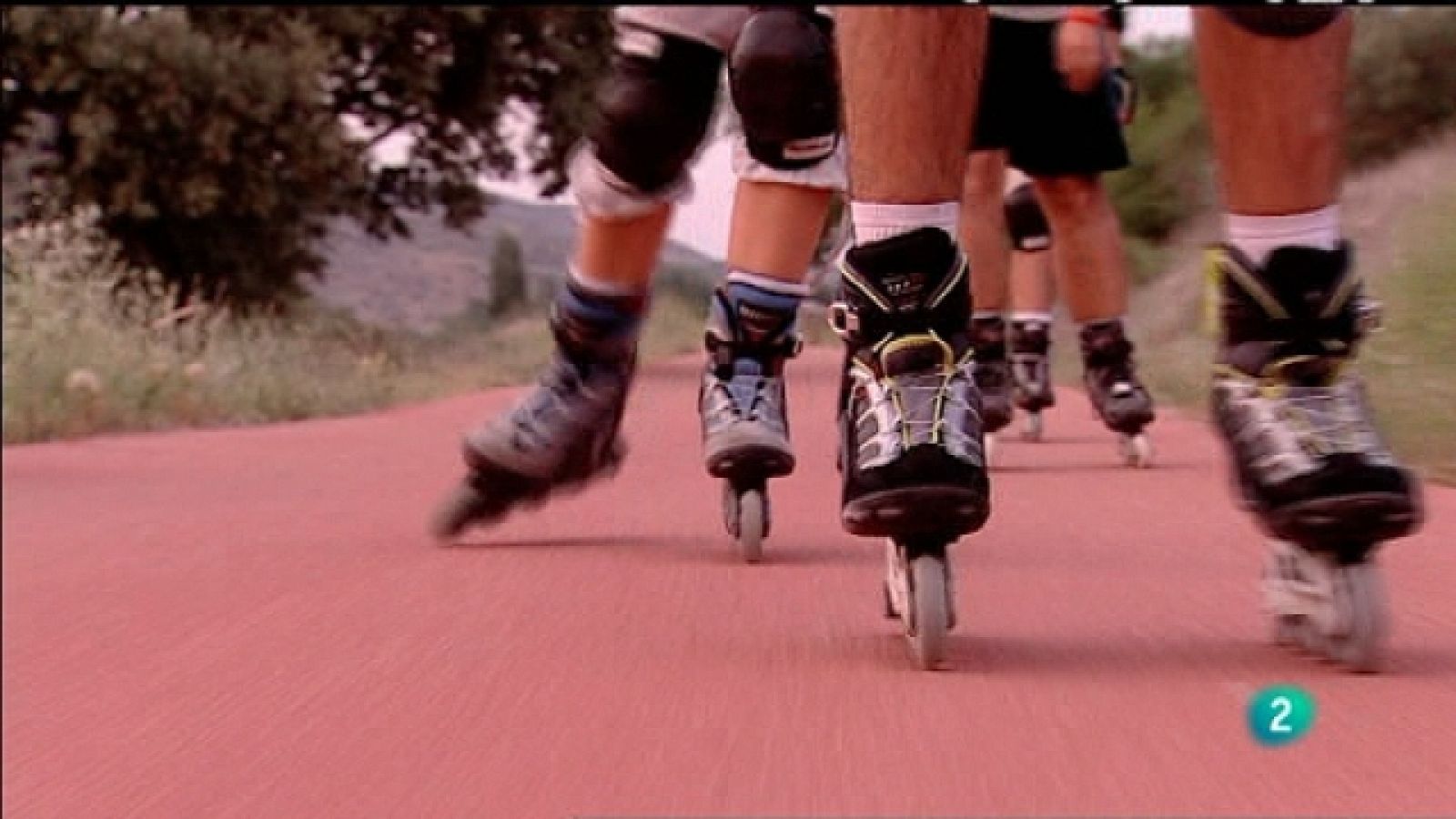 Biodiario - 29/01/11 - Biodiario | Ver