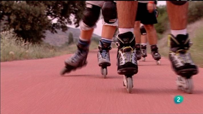 Biodiario - Biodiario - 29/01/11