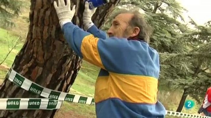 Universo UNED - UNED - 30/01/11