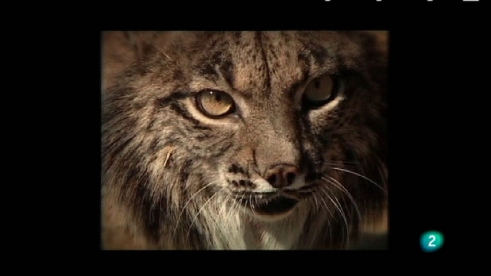 Biodiario - 30/01/11 - Biodiario | Ver