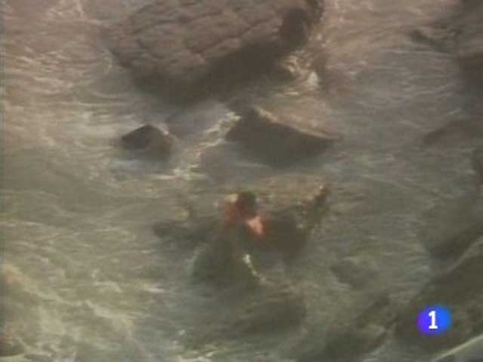 Te acuerdas Salvamento Marítimo