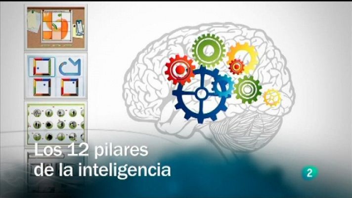 Los 12 pilares de la inteligencia 