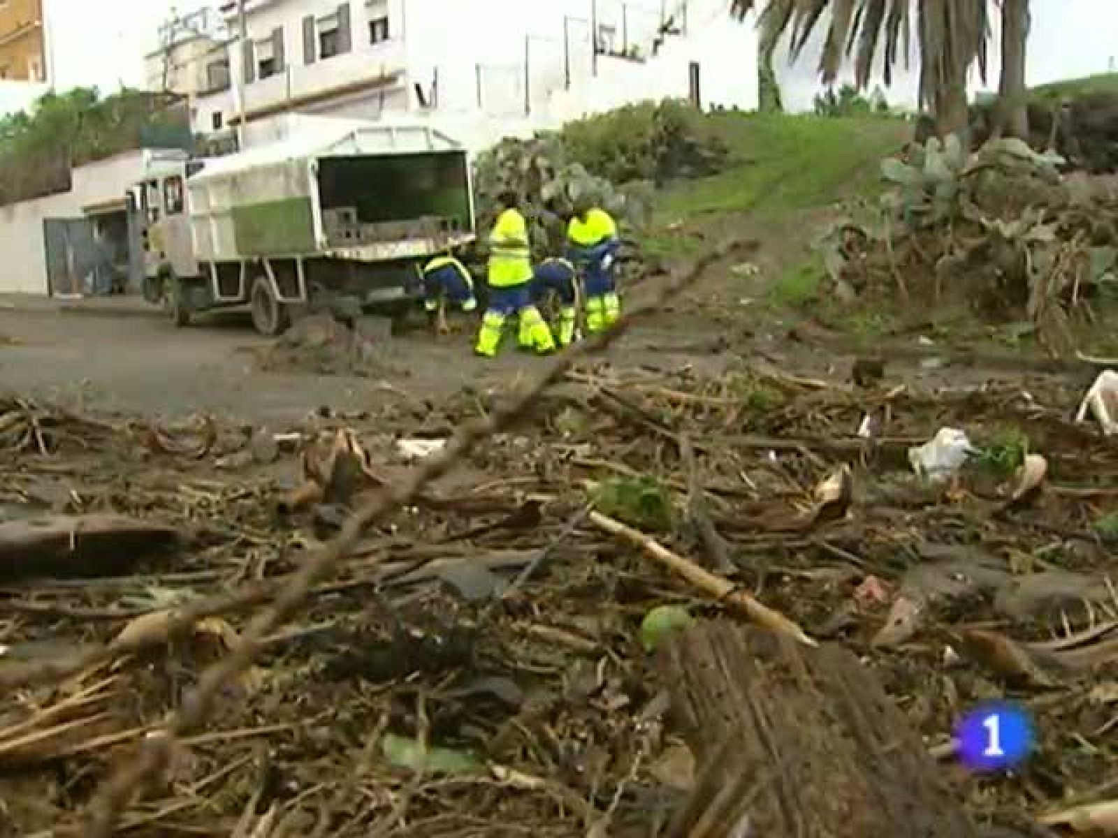 Telecanarias - 31/01/11 | Ver