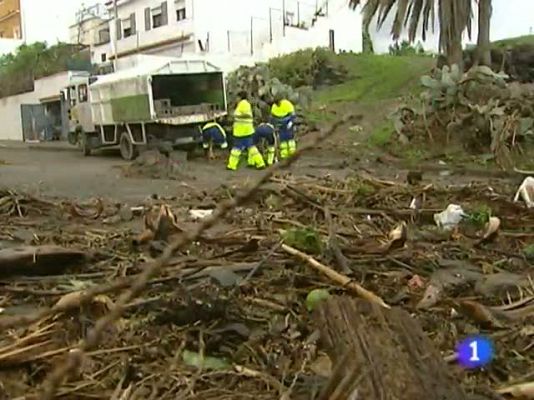 Telecanarias - Telecanarias - 31/01/11