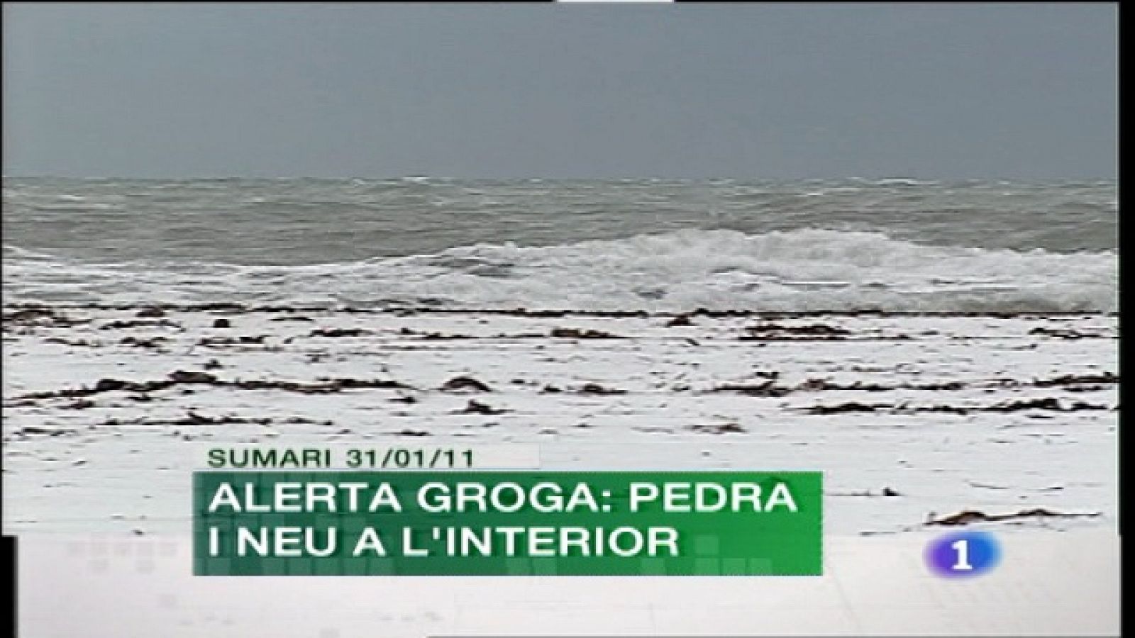 Comunidad Valenciana en 2' - 31/01/11 | Ver