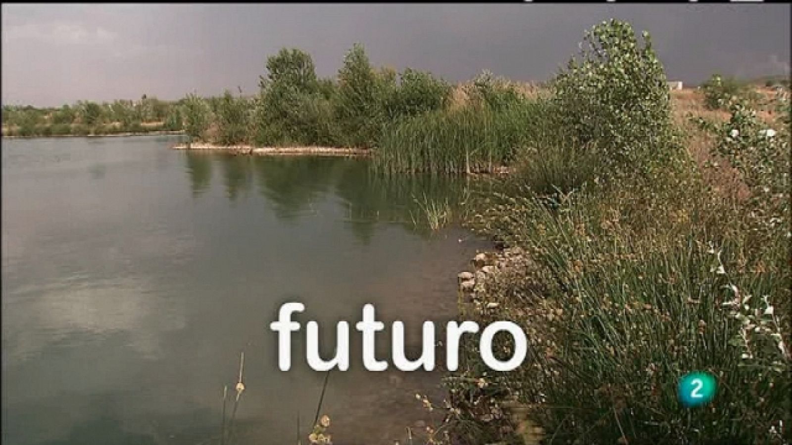 Biodiario - 31/01/11 - Biodiario | Ver