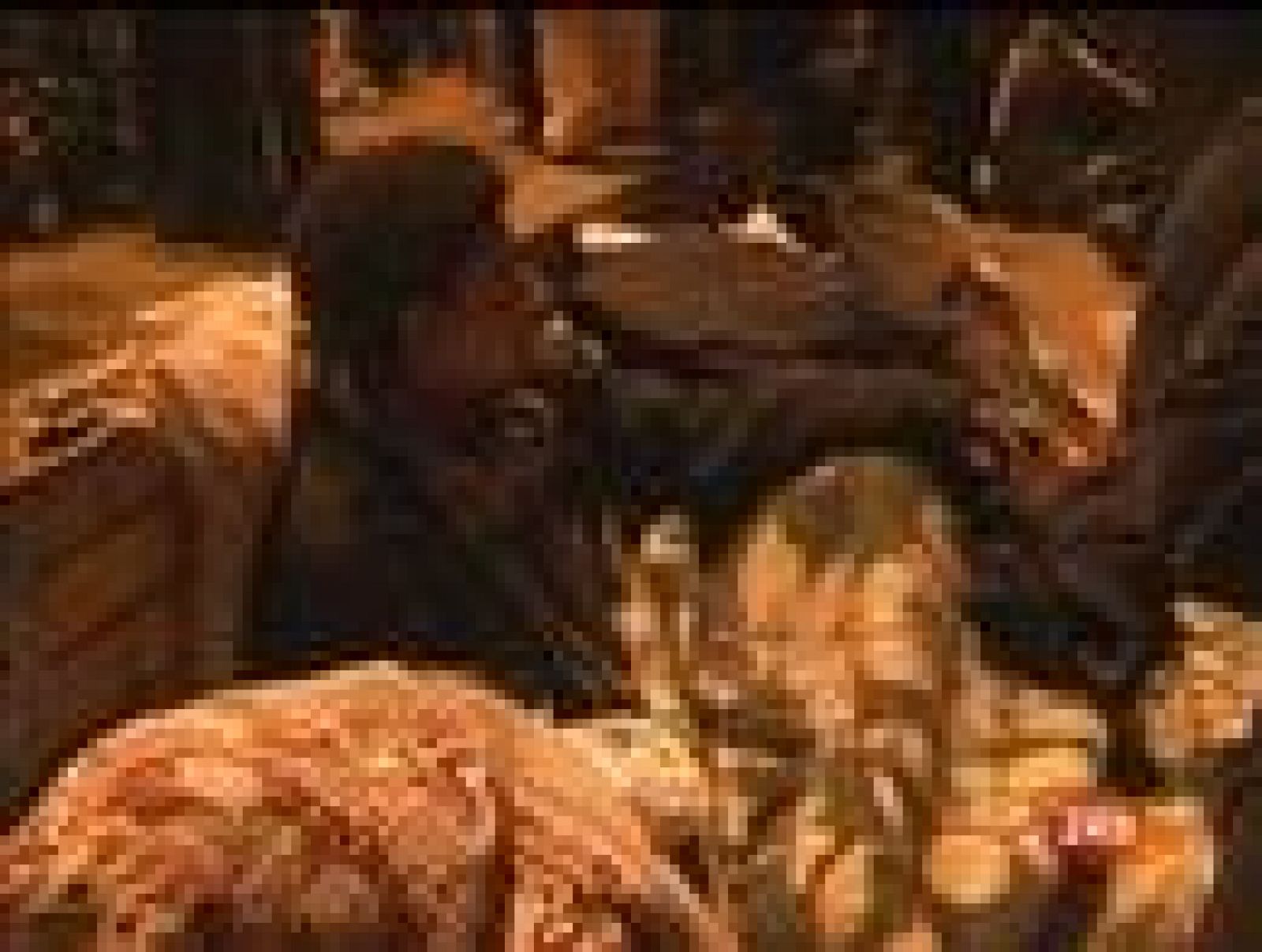  En Egipto, el presidente Hosni Mubarak ha tomado juramento a sus nuevos ministros, pero estos cambios en el gobierno no parecen haber servido para nada. Miles de egipcios siguen desafiando el toque de queda y el país se prepara para la gran manifestación convocada para este martes.