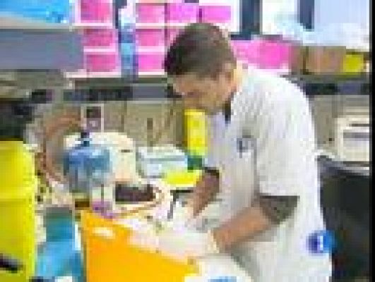 Telediario 1 - Vacuna contra el SIDA