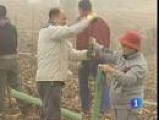 Telediario 1 - La labor del voluntariado