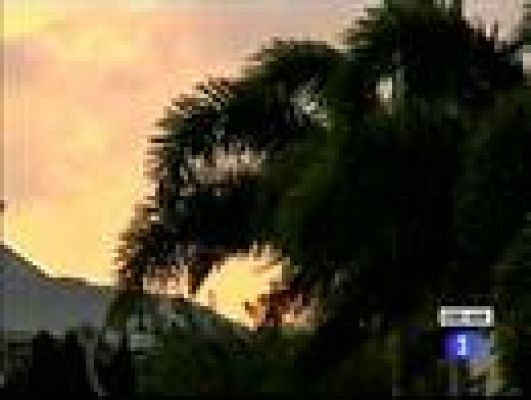 Telediario 1 - Australia: alerta por gran ciclón