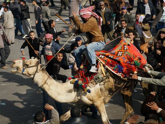  - Los egipcios no se conforman