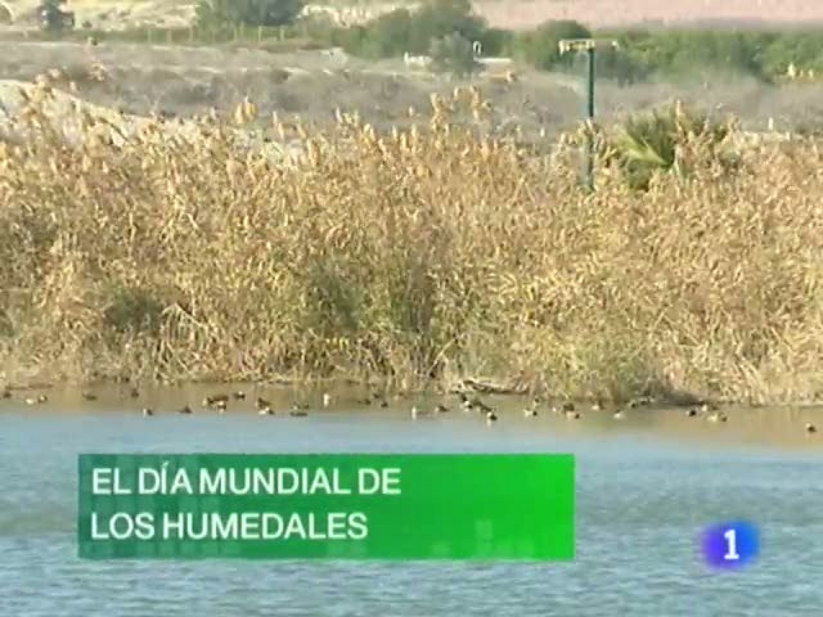 Noticias Murcia: Noticias Murcia - 02/02/11 | RTVE Play