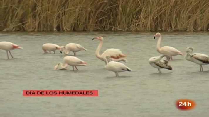 España en 24 horas