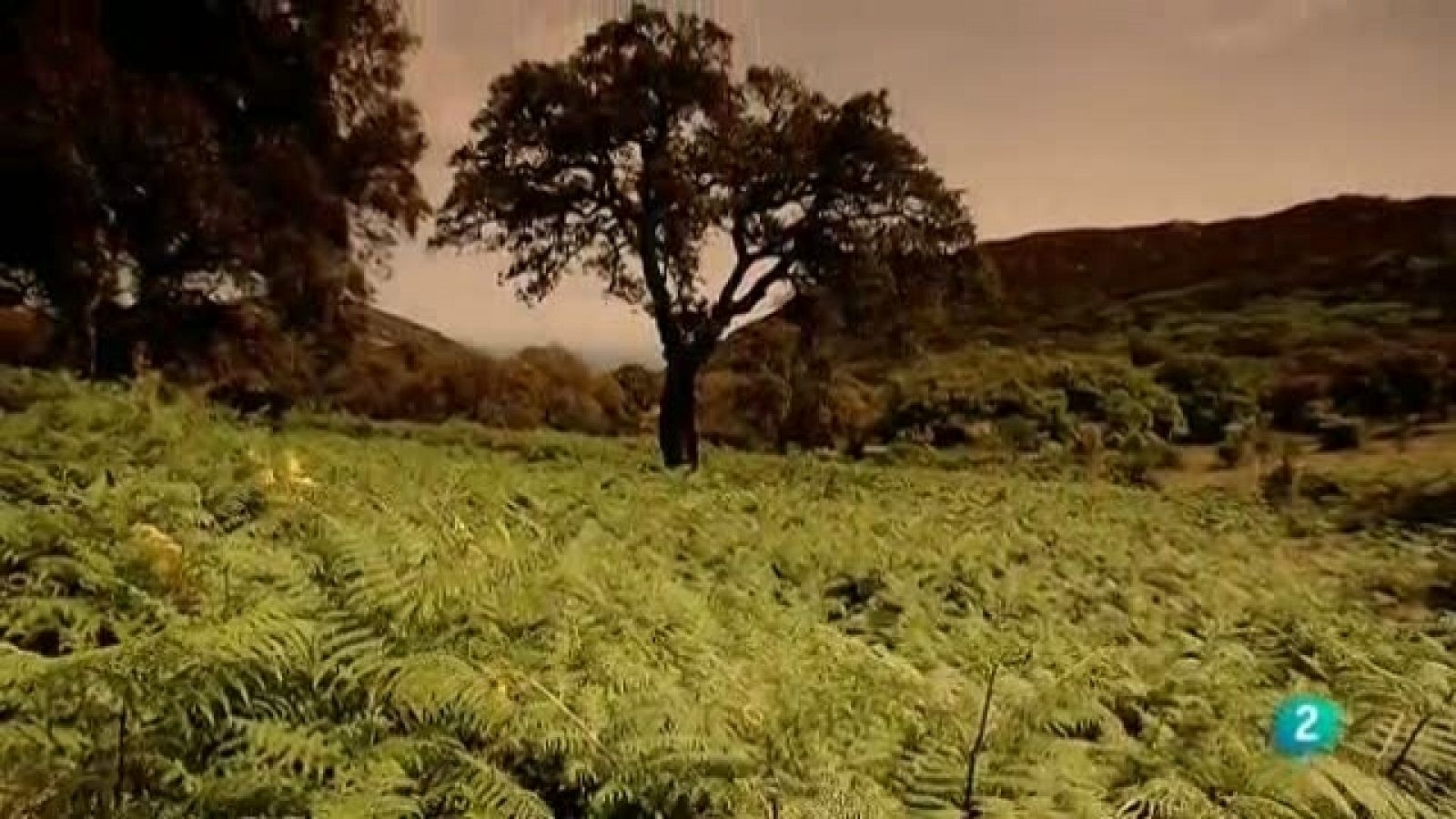 Biodiario - 02/02/11 - Biodiario | Ver