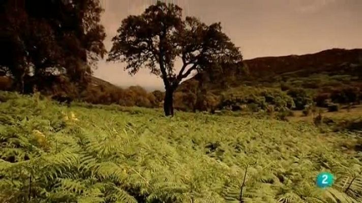 Biodiario - Biodiario - 02/02/11