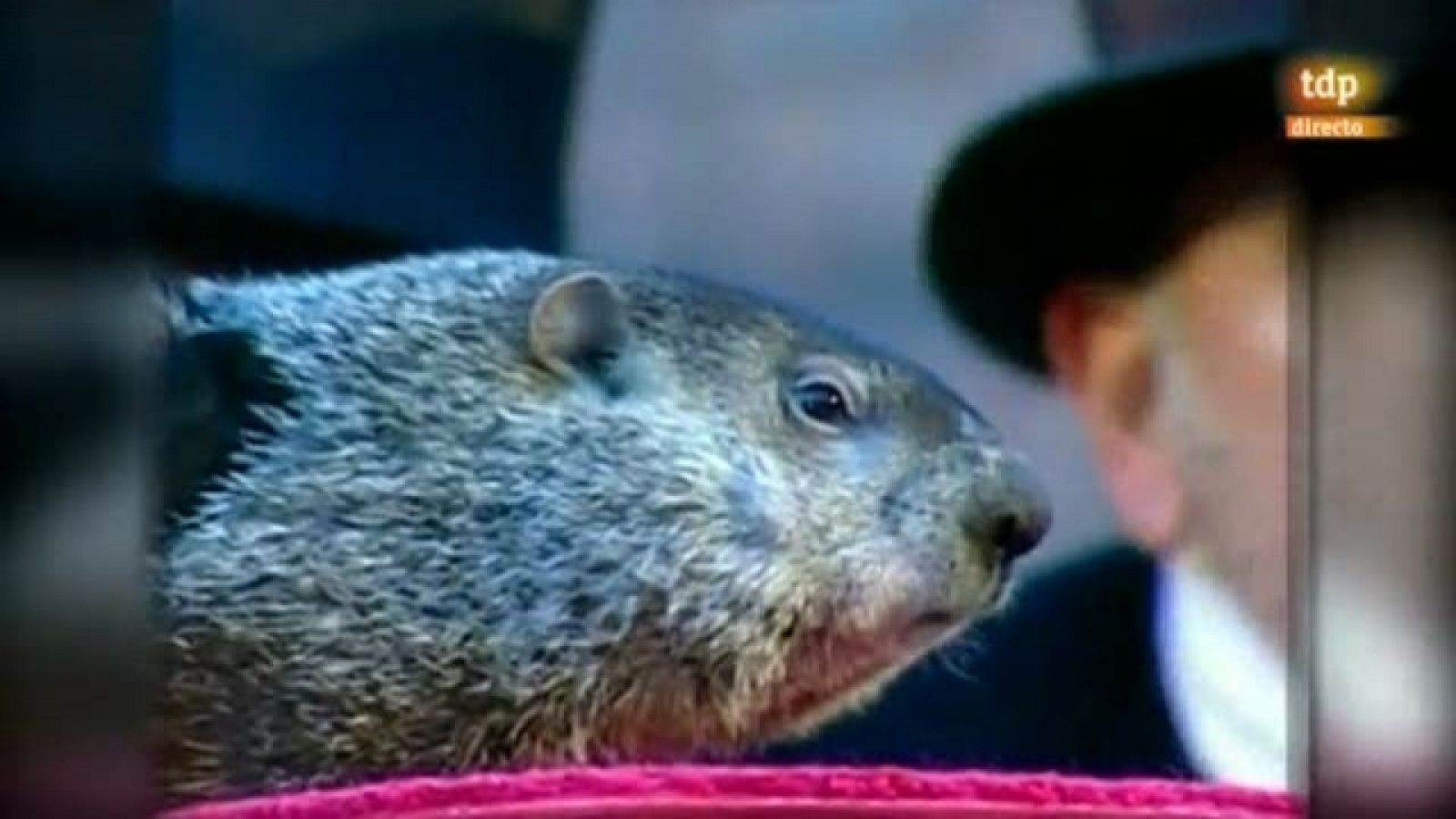 TDP Noticias 3 - 02/02/11 - tdp noticias | Ver