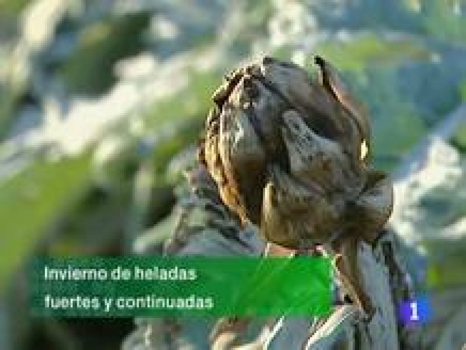 La Rioja en 2' - 03/02/11 | Ver