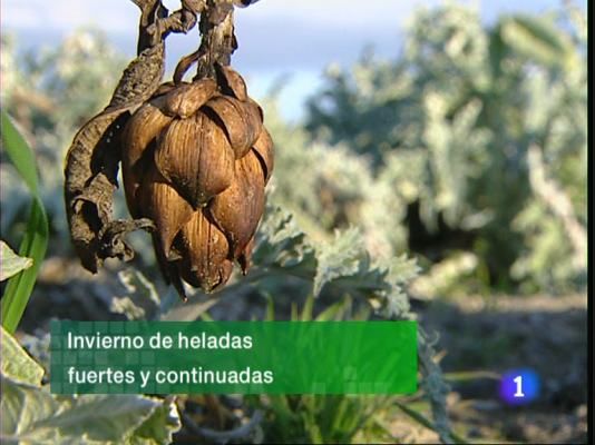 Informativo Telerioja - Informativo Telerioja - 03/02/11