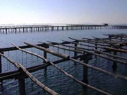 Comando Actualidad - El Delta del Ebro