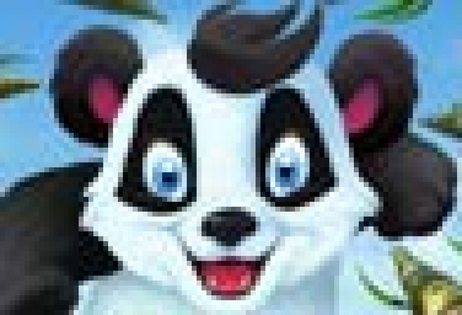 Telediario 1: ¡Little big panda' | RTVE Play