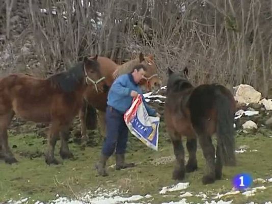 TeleCantabria - Telecantabria - 04/02/11