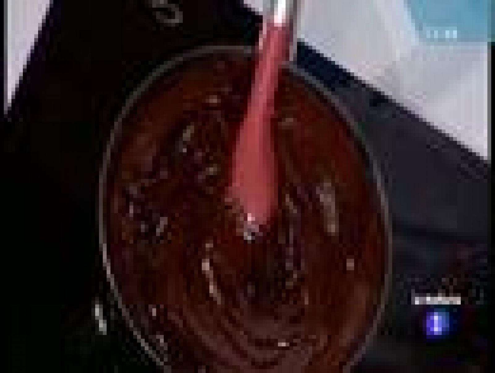 Saber cocinar - Torta de pan artesana con cecicna y tomate al ajillo (04/02/11)