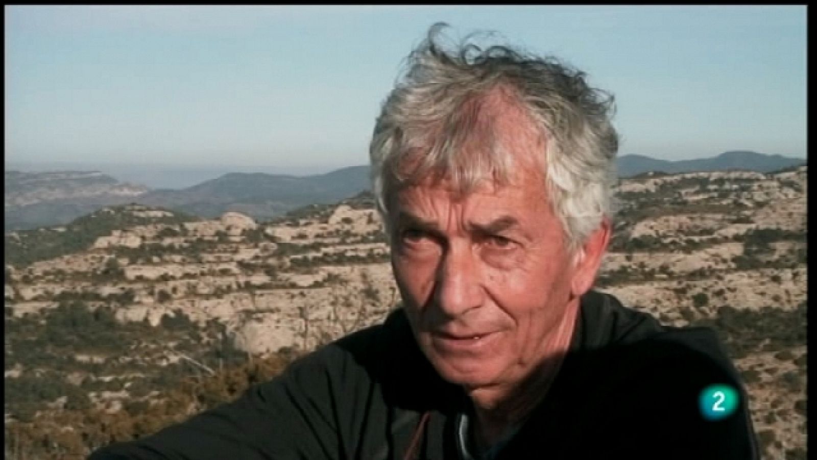 El escarabajo verde - Viento en contra - El escarabajo verde | Ver