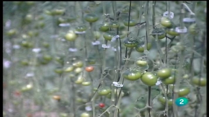 Agrosfera - Agrosfera - 05/02/11