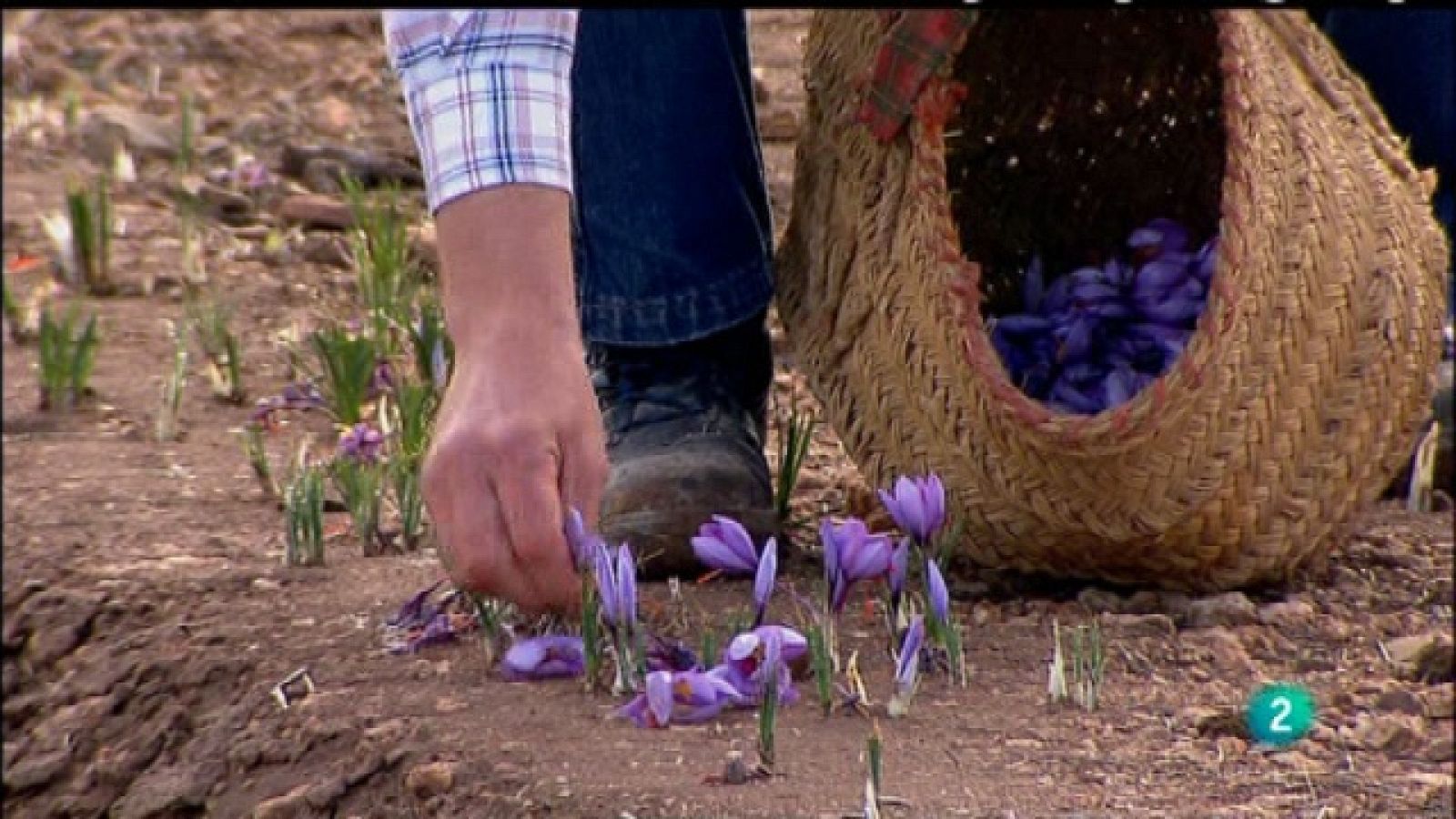 Biodiario - 06/02/11 - Biodiario | Ver