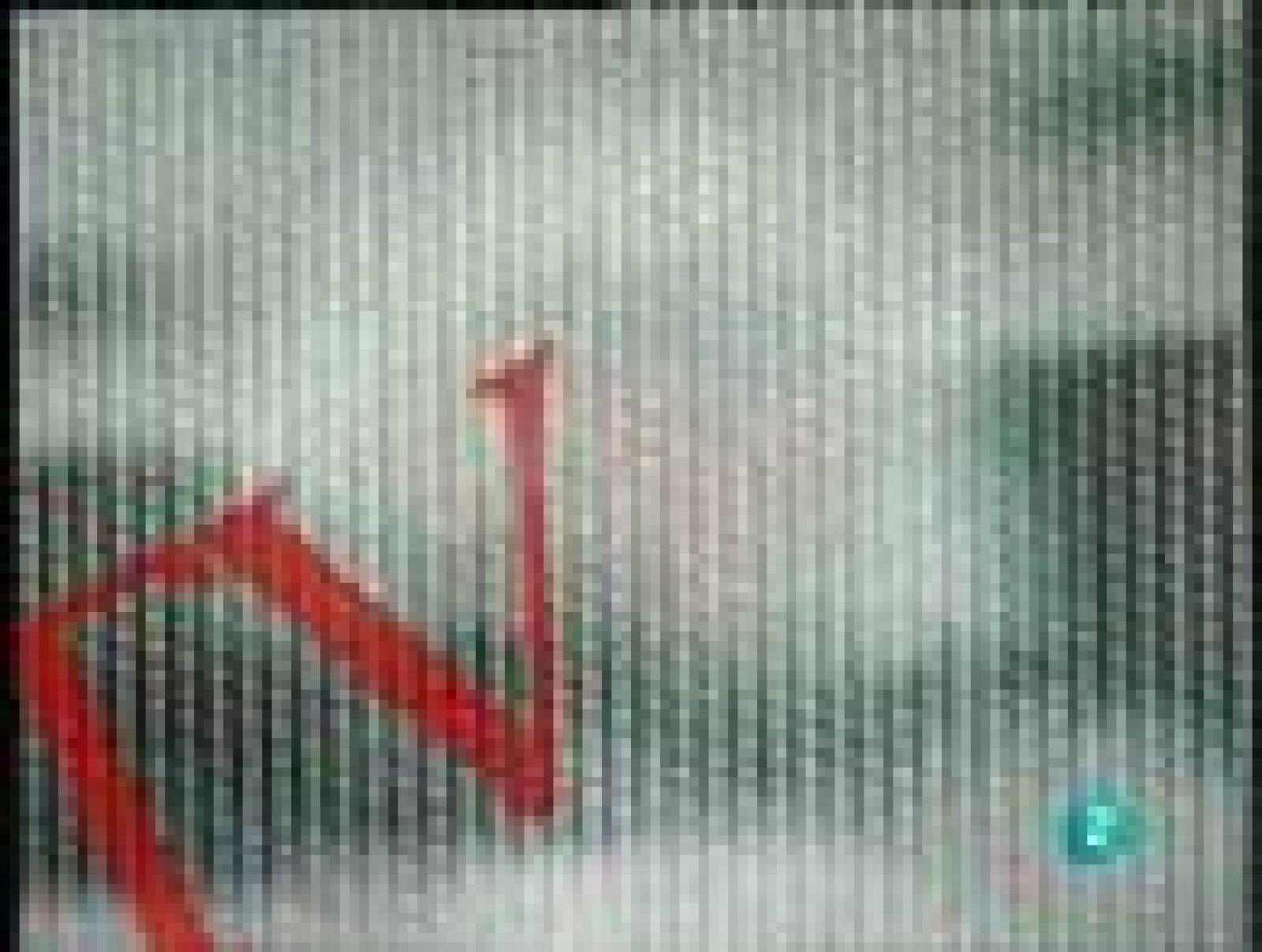 Documentos TV. "La guerra de las vacunas". Avance - Documentos TV | Ver