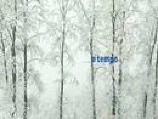 Telexornal - Galicia - El tiempo en Galicia - 07/02/11